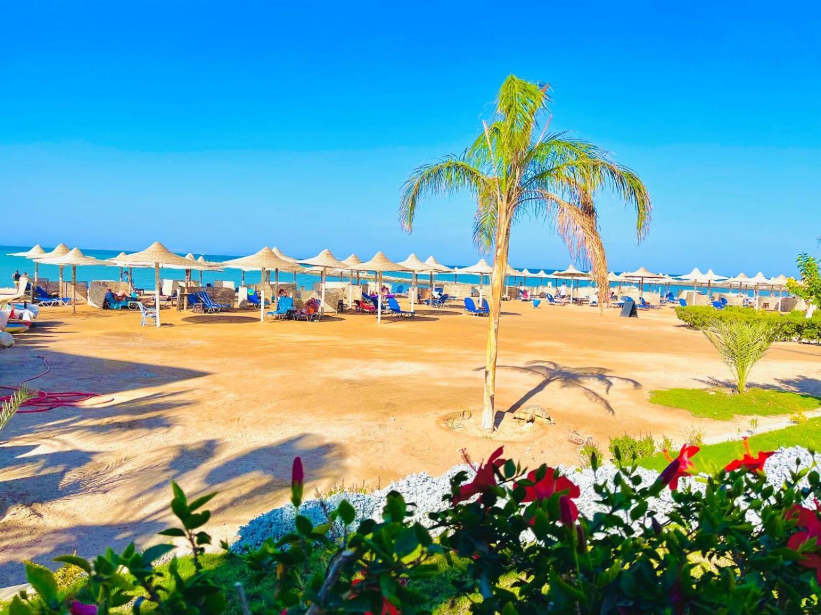 Luna Blu Sea View Daire Hurgada