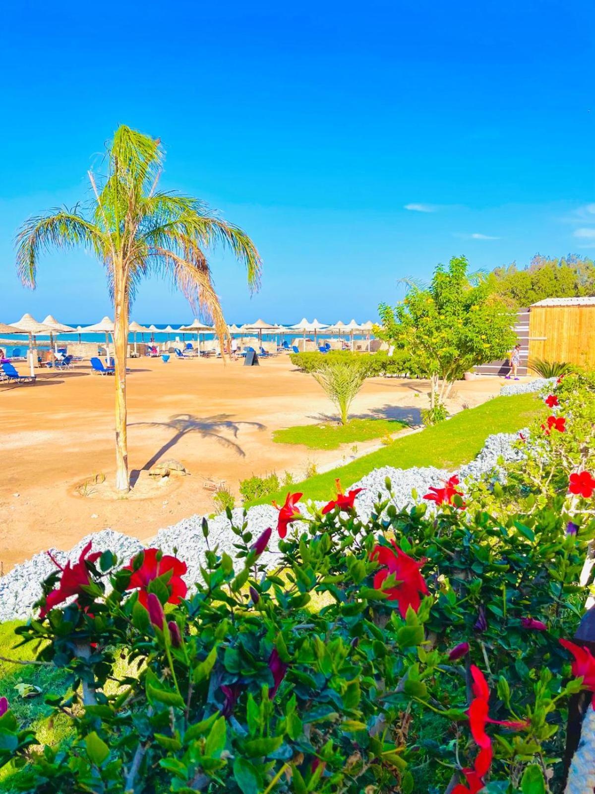 Apartman Luna Blu Sea View Gurdaka