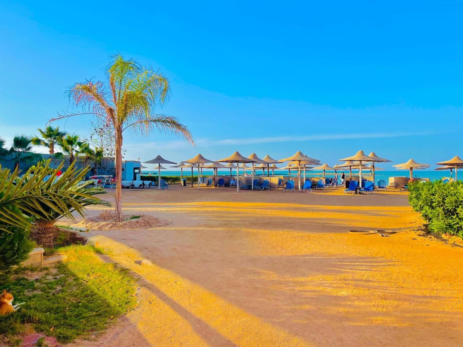Apartman Luna Blu Sea View *