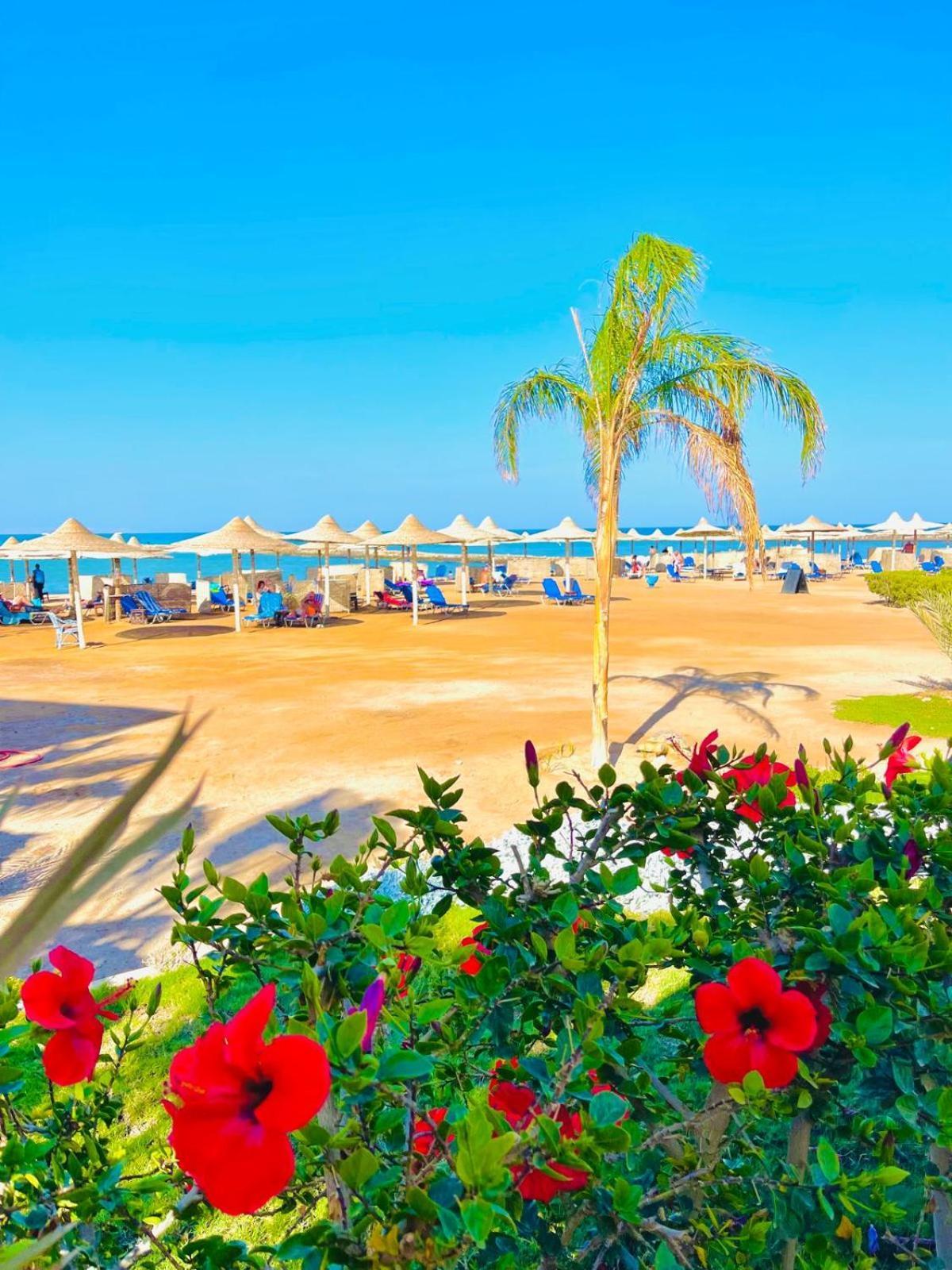 Apartman Luna Blu Sea View *